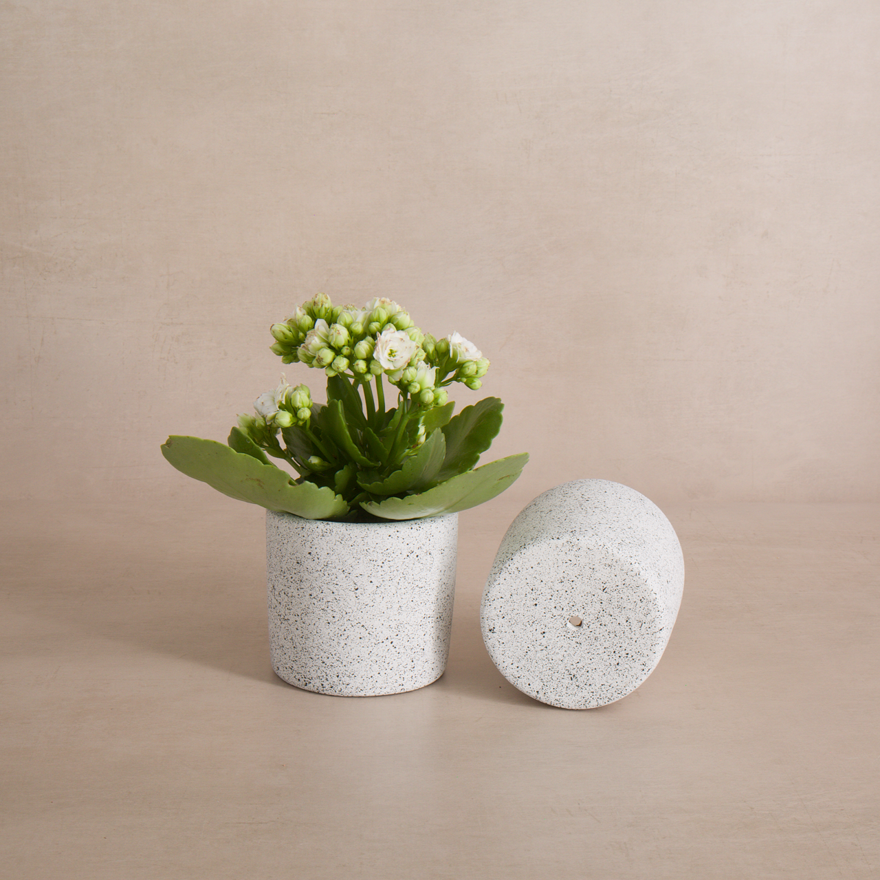 Women of the Cloud Forest planter Small Ceramic Planter