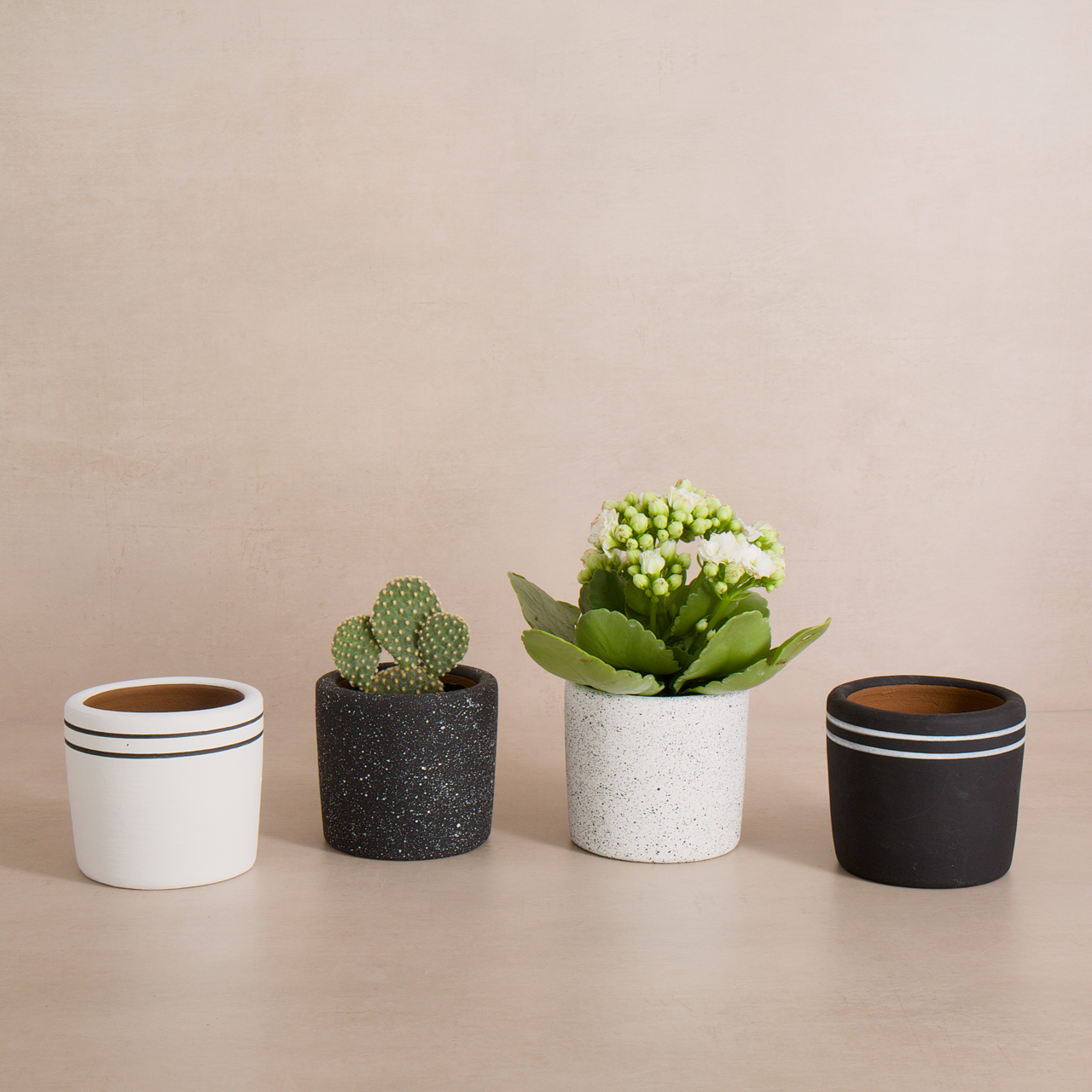 Set of minimalist small ceramic planters for succulents