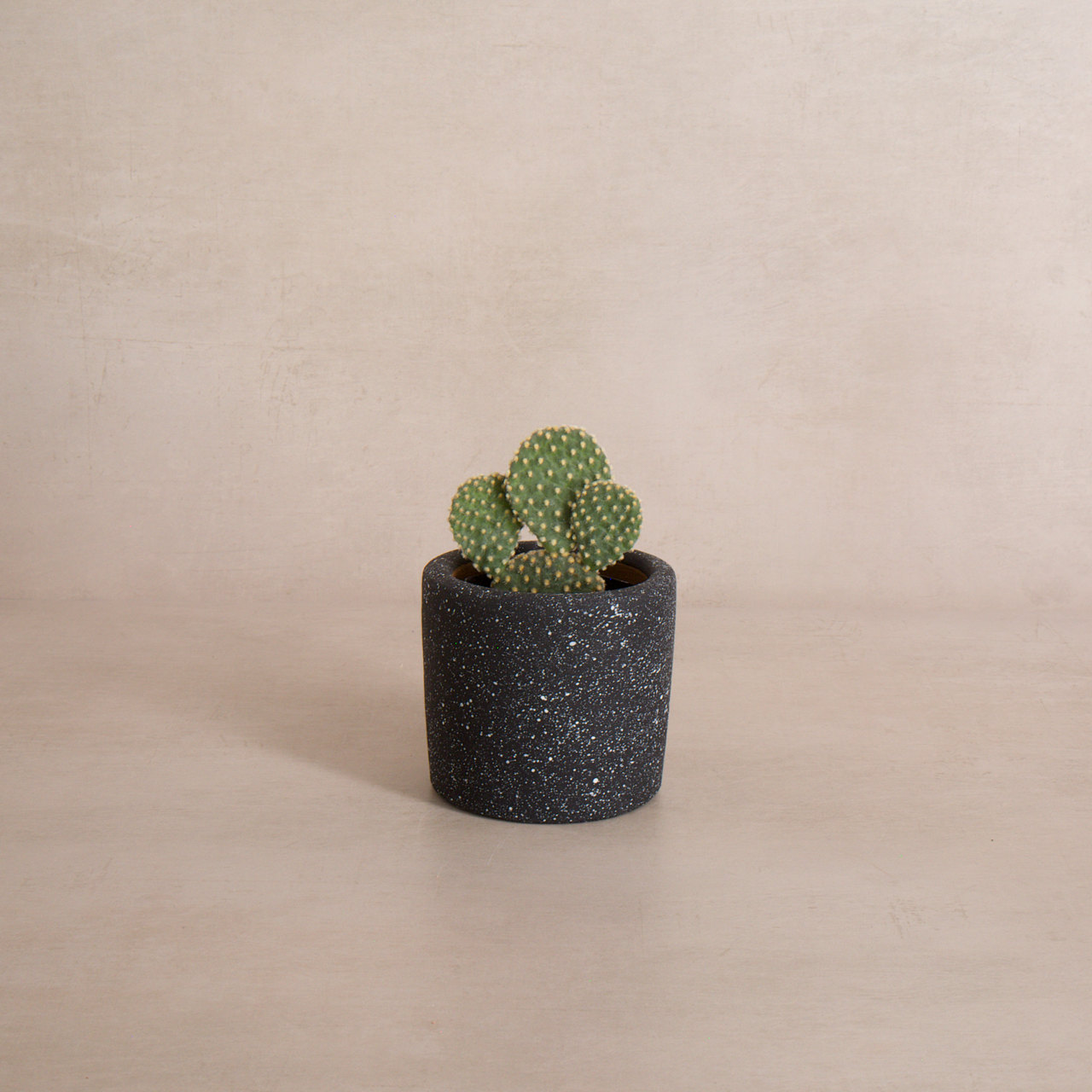 Women of the Cloud Forest planter Small Ceramic Planter