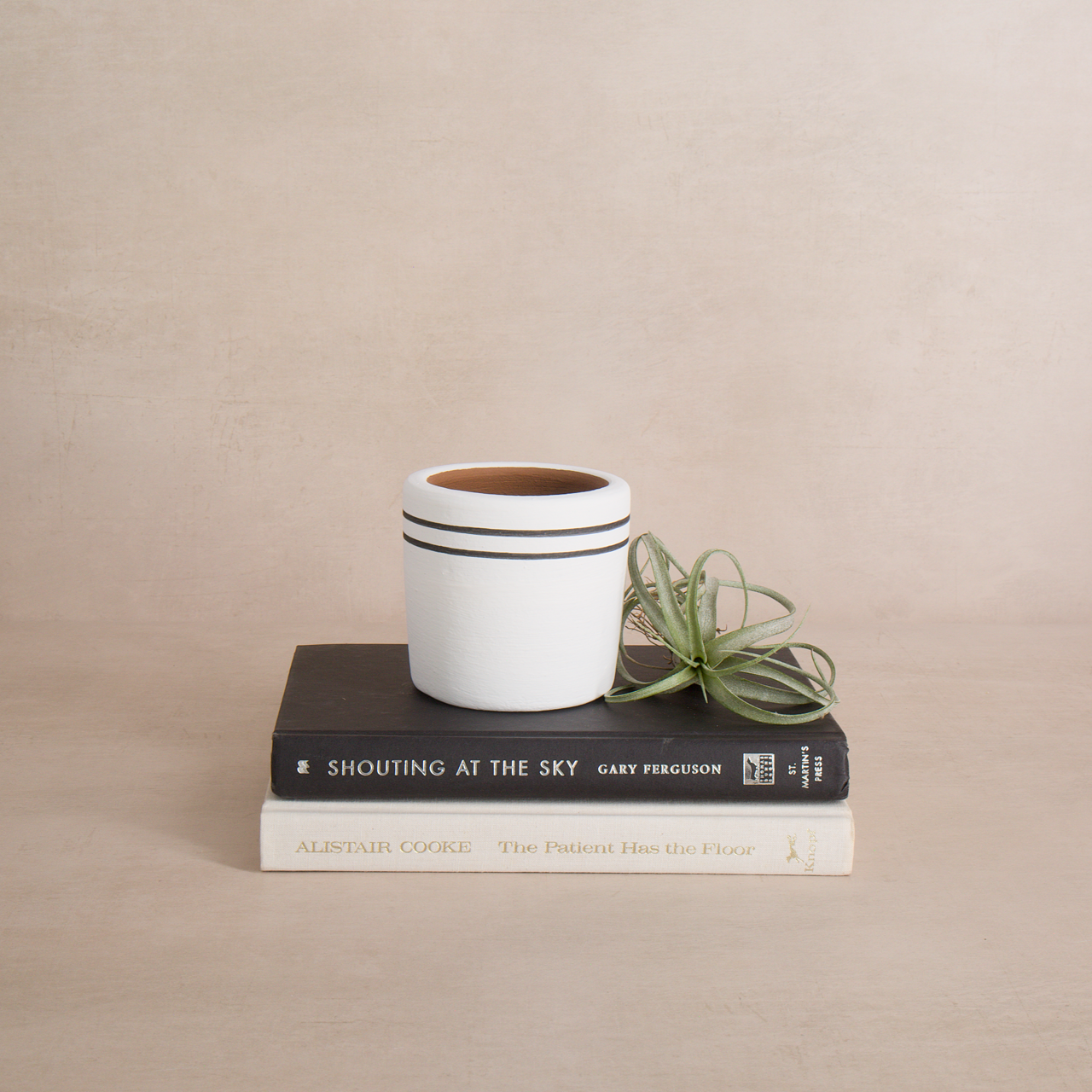 Modern artisan striped ceramic plant pot for indoor plants