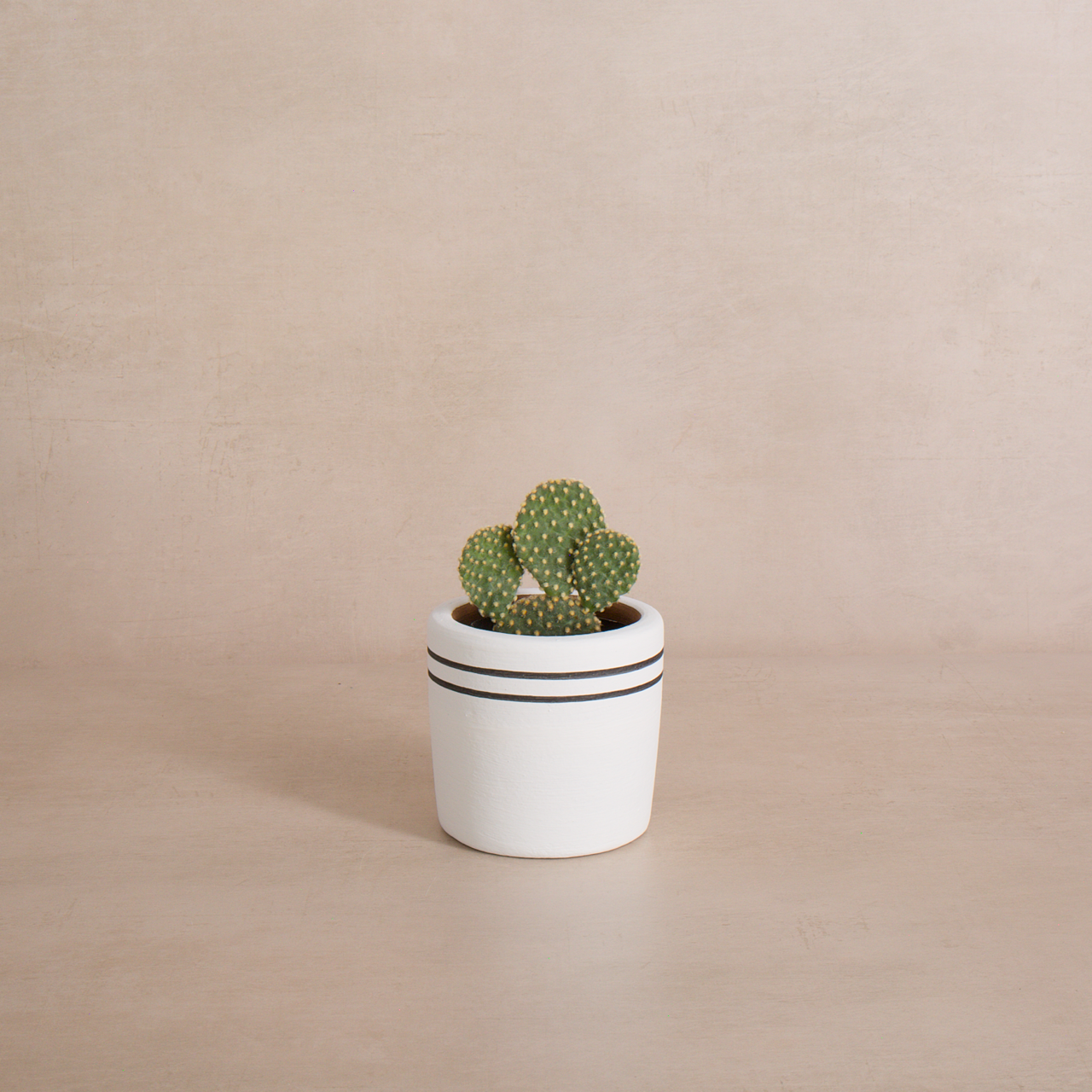 Handmade terracotta planter with white stripes and drainage hole