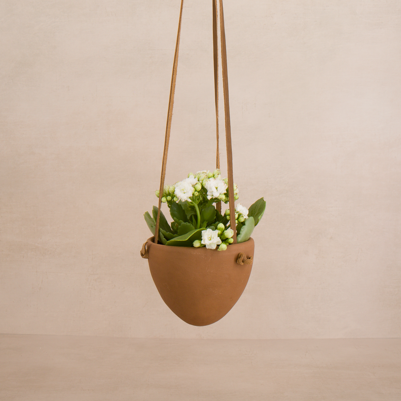 Women of the Cloud Forest planter Terracotta Hanging Planter with Leather Hanger