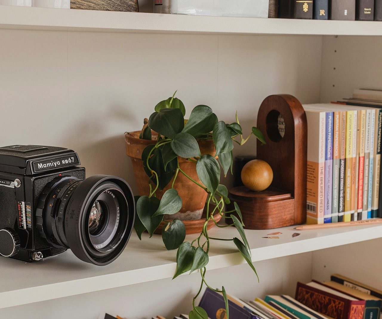 bookshelf with a camera, plant and books