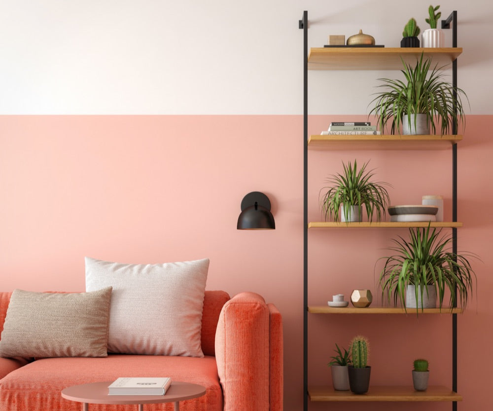 pink accent wall in living room with ladder shelf