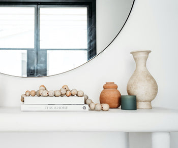 potted plants styled on a wood shelf