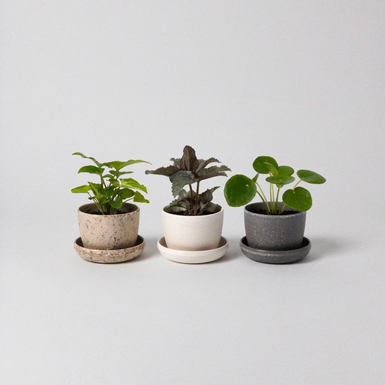 Indoor Planters + Plant Pots