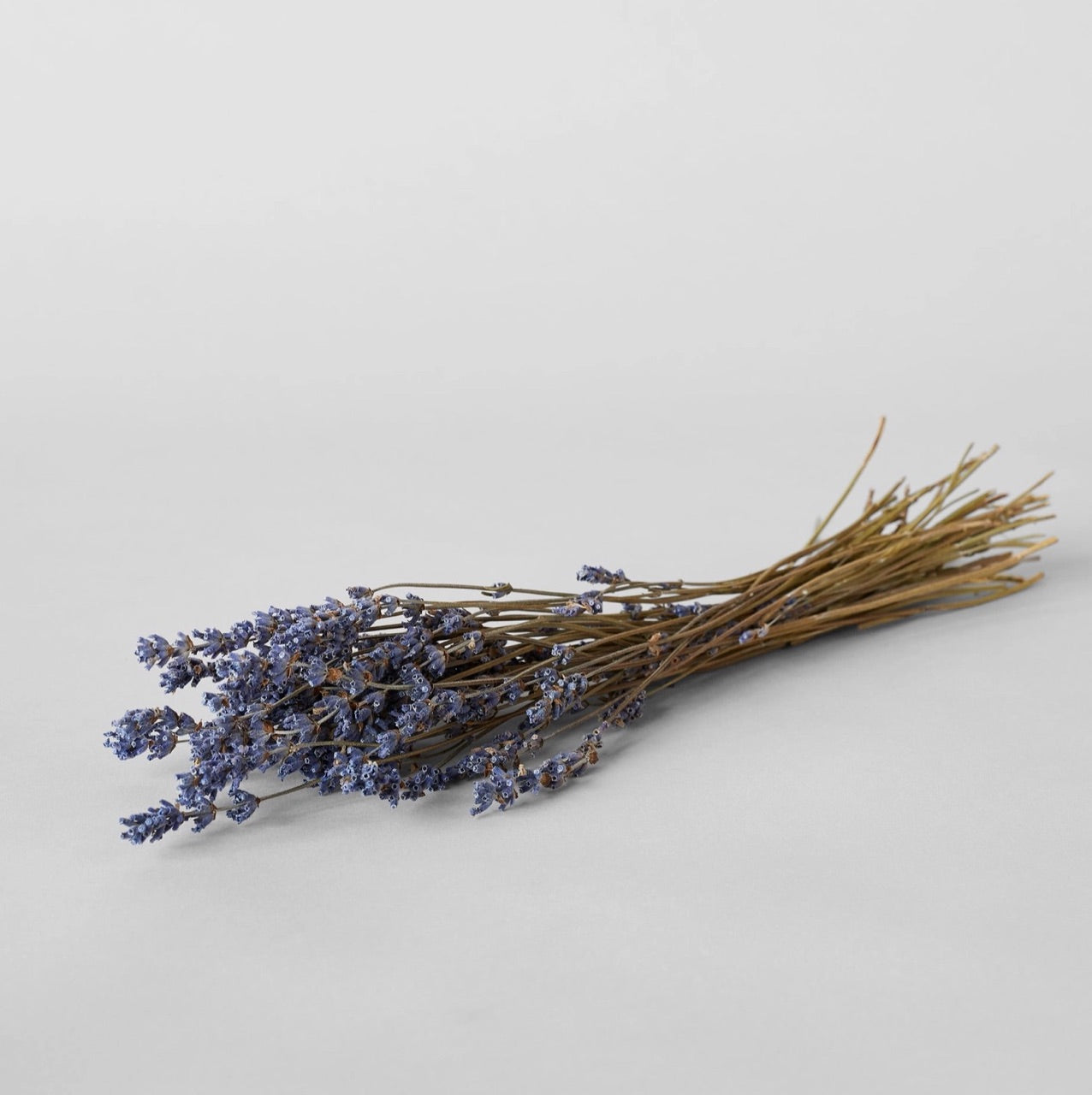 Bloomist dried flowers and plants Dried Lavender