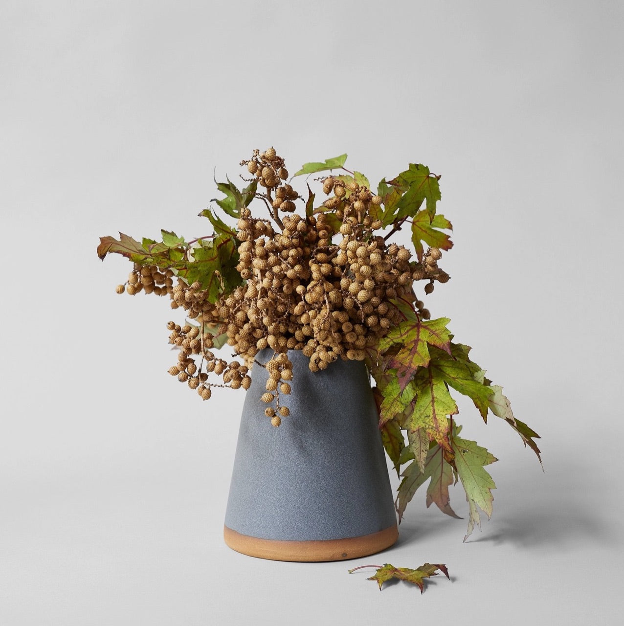 Bloomist dried flowers and plants Dried Natural Canella