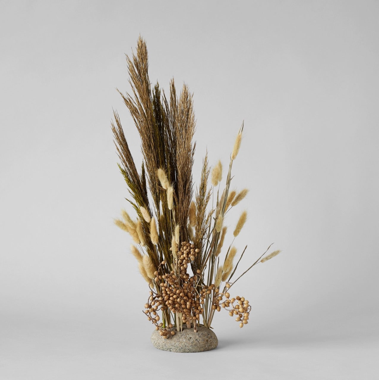 Bloomist dried flowers and plants Dried Natural Canella