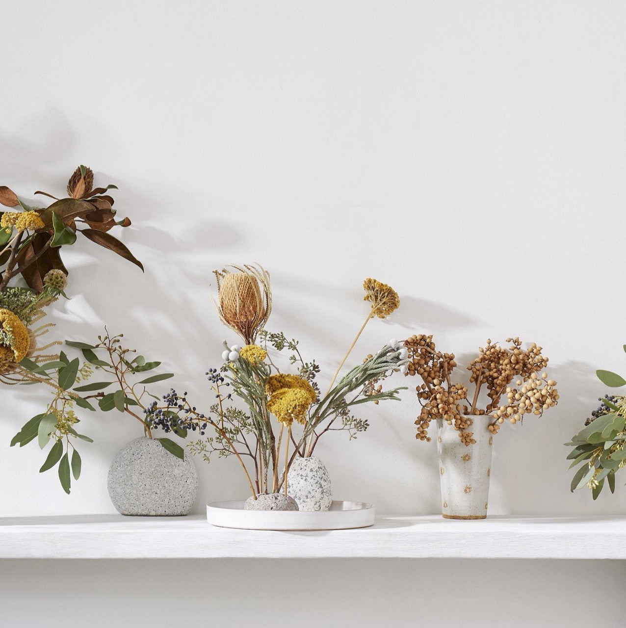 Bloomist dried flowers and plants Dried Natural Canella