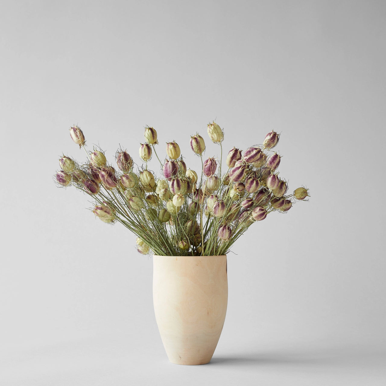 Bloomist dried flowers and plants Dried Nigella Pods