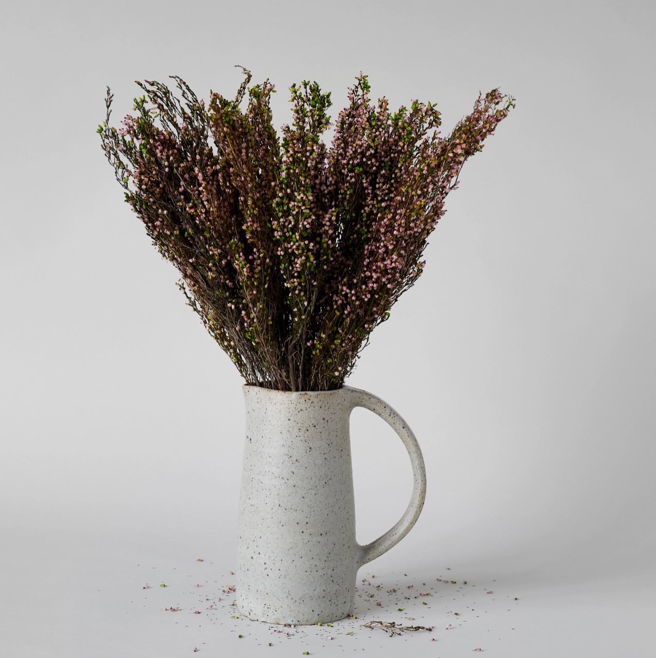 Bloomist dried flowers and plants Dried Pink Heather