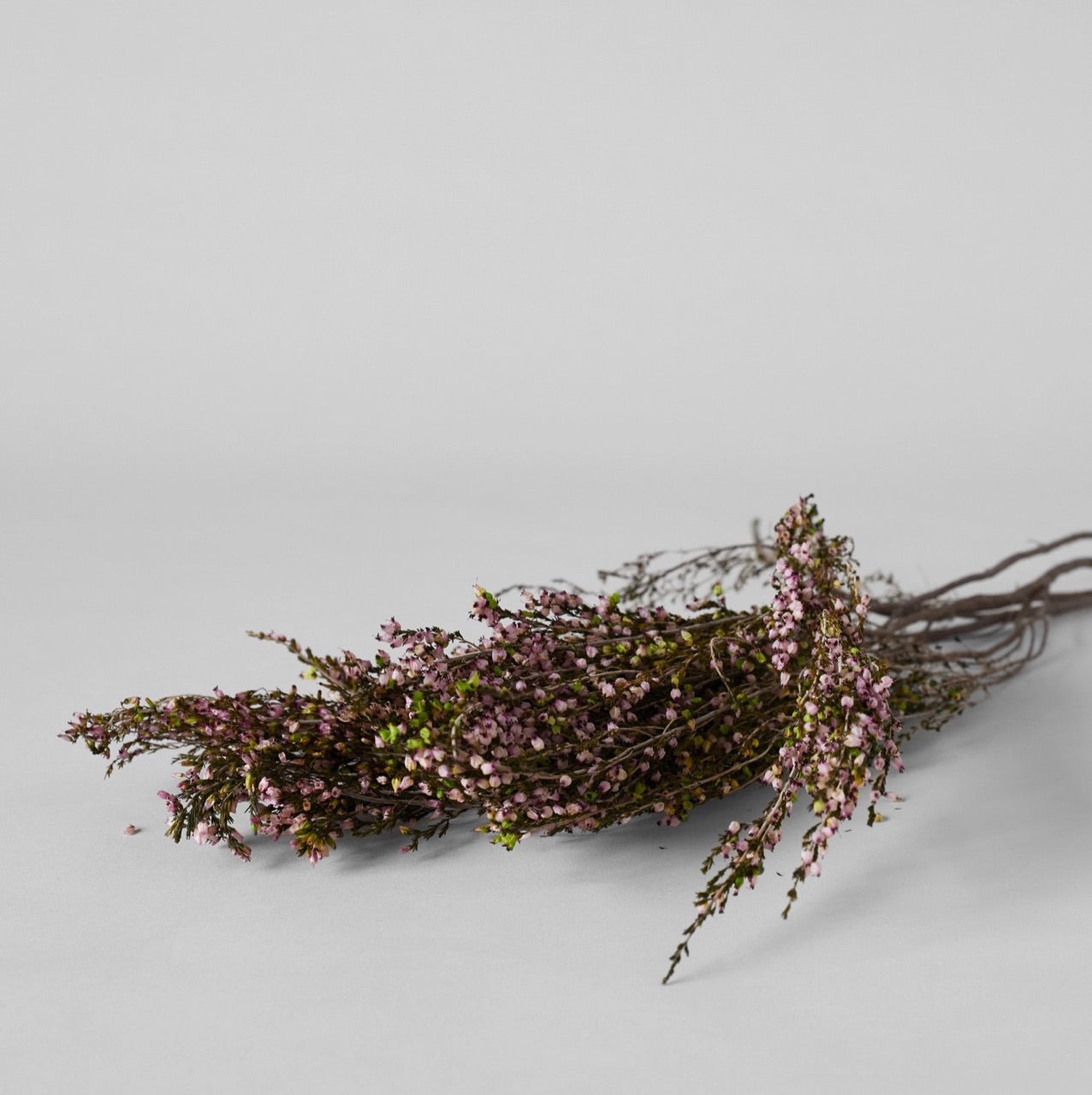 Bloomist dried flowers and plants Dried Pink Heather