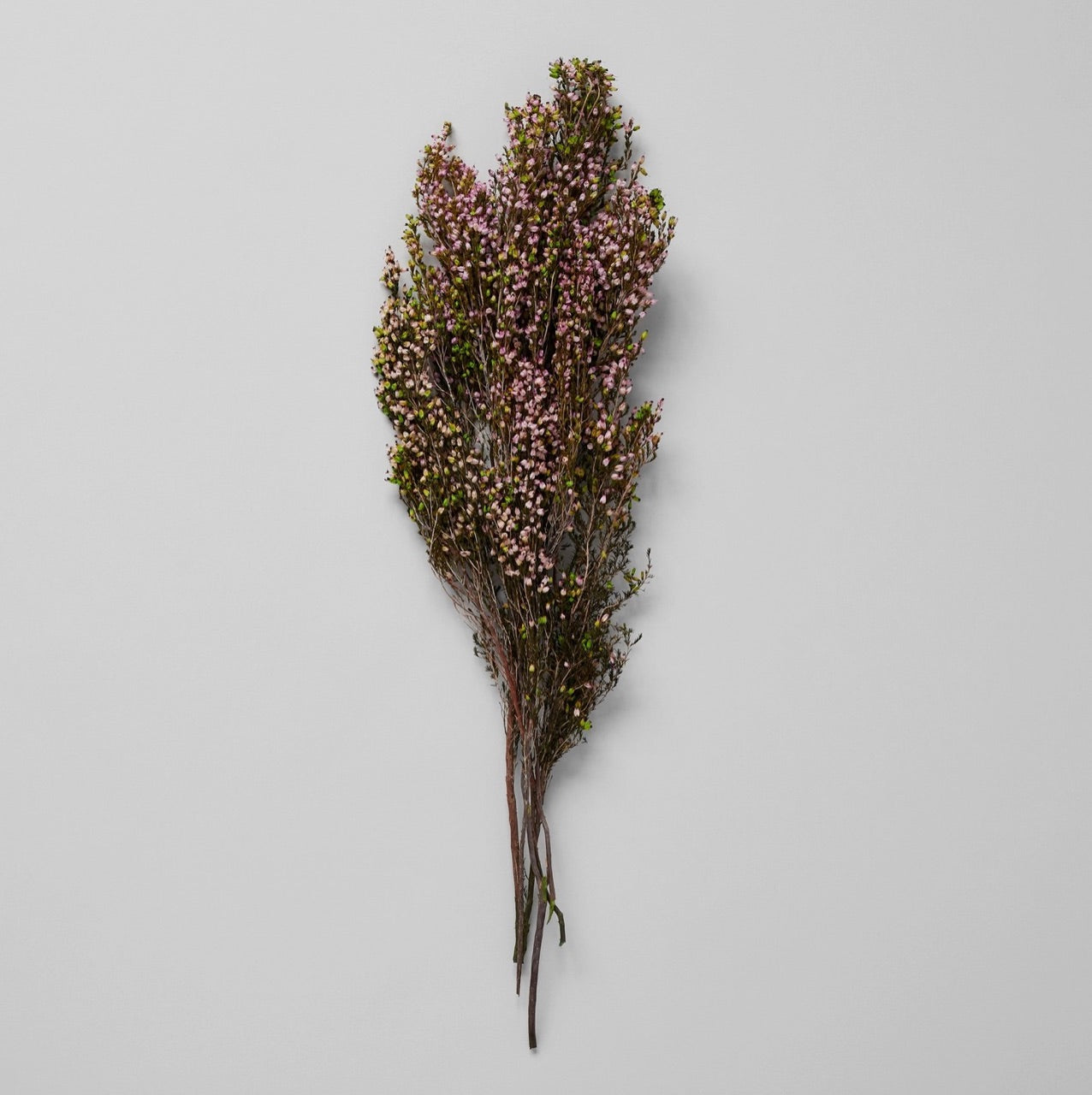 Bloomist dried flowers and plants Dried Pink Heather