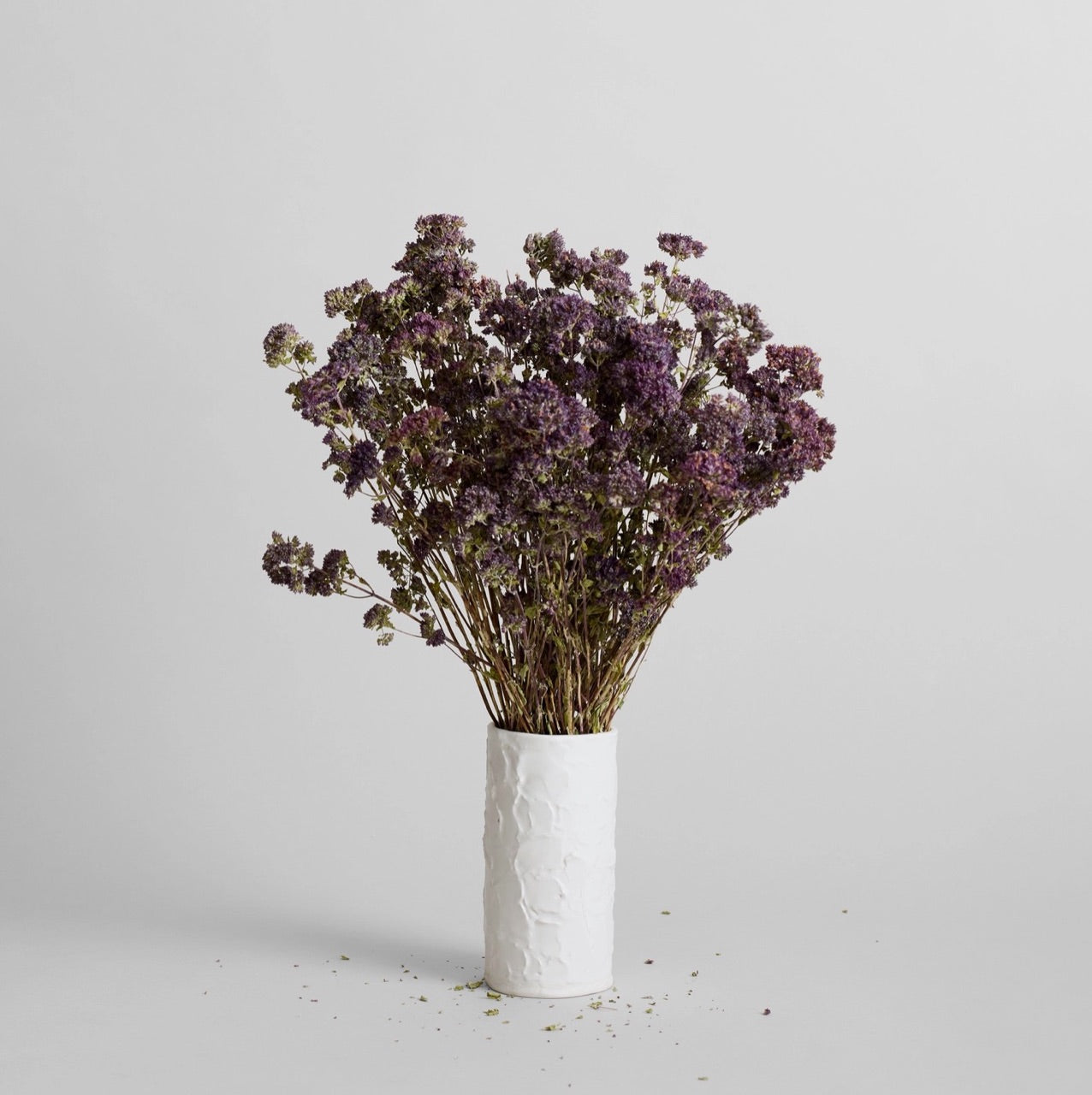 Bloomist dried flowers and plants Dried Purple Blooming Oregano