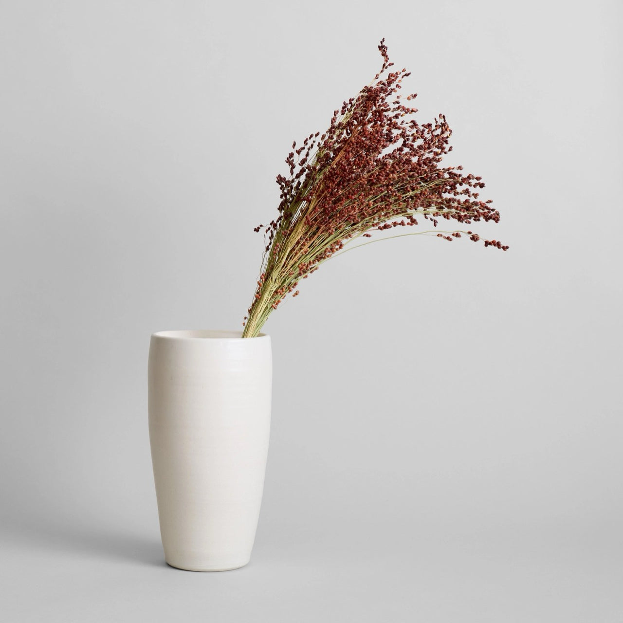 Bloomist dried flowers and plants Dried Red Broom Corn