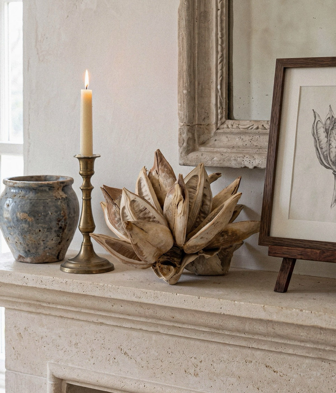 Bloomist Dried Flowers & Botanicals Dried Blonde Star Pod
