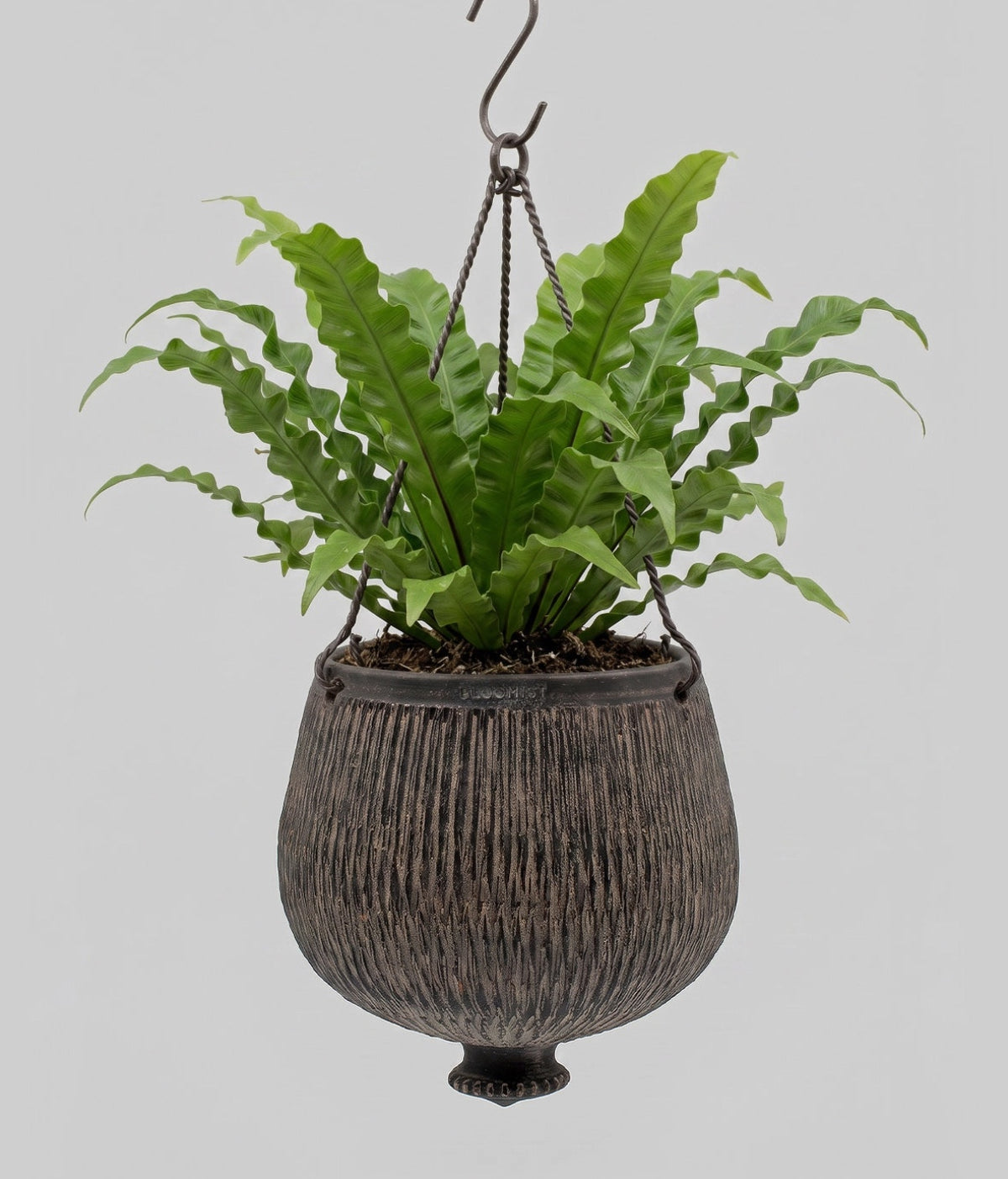 Bloomist Planters Charcoal Terracotta Reed Hanging Planter
