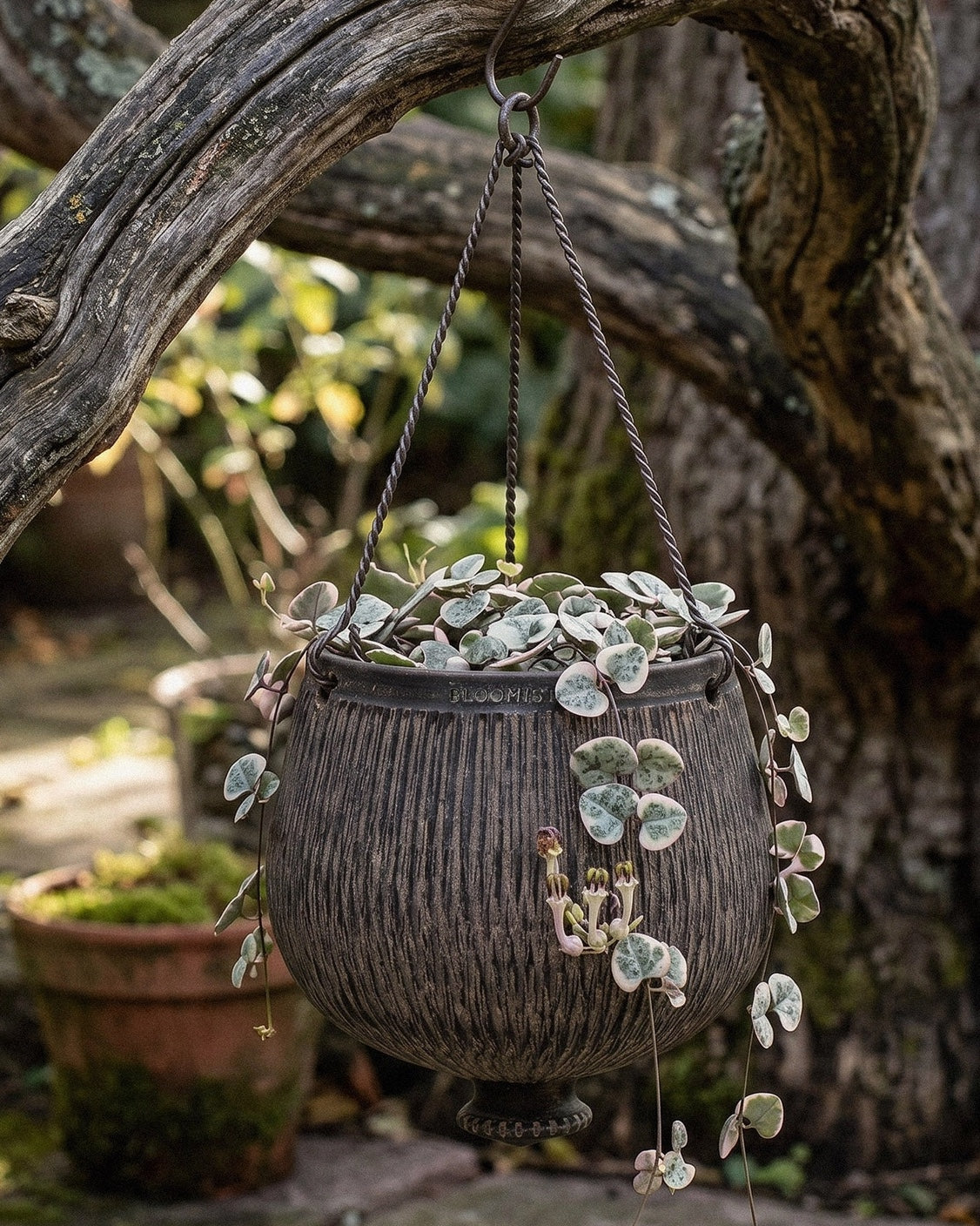 Bloomist Planters Charcoal Terracotta Reed Hanging Planter