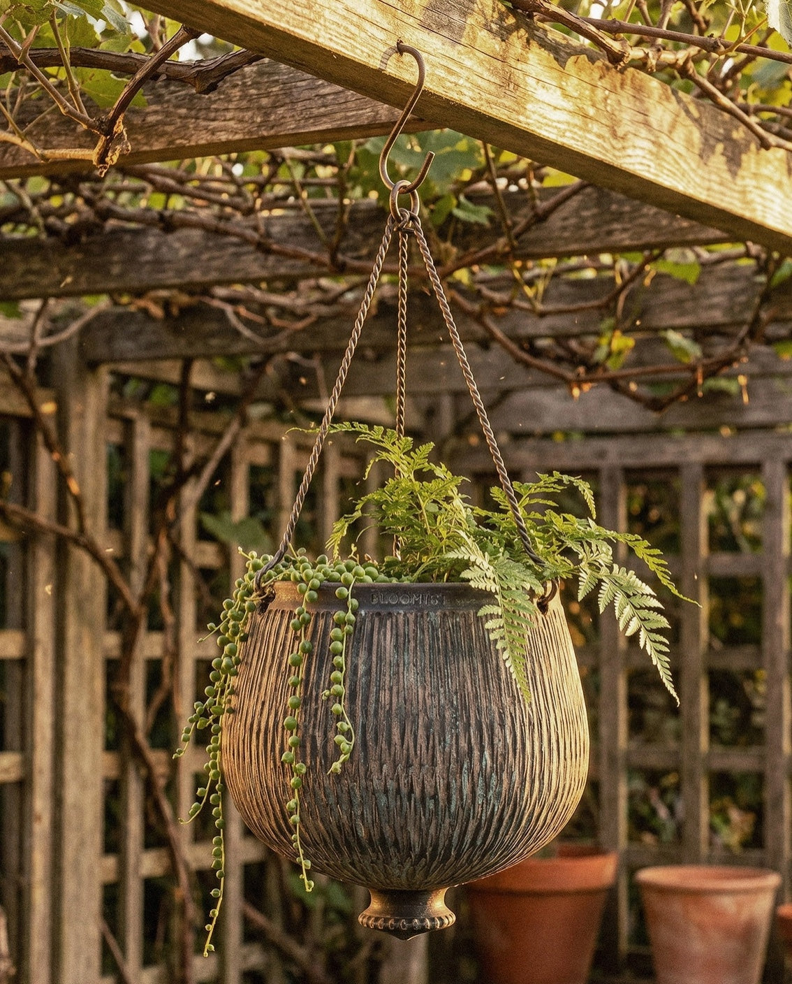 Bloomist Planters Charcoal Terracotta Reed Hanging Planter