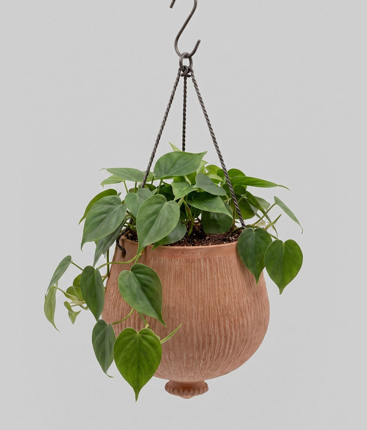 Bloomist Planters Terracotta Reed Hanging Planter