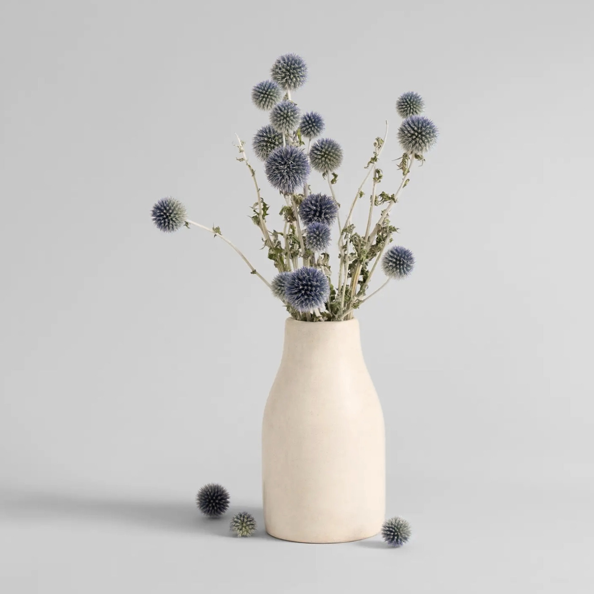 Bloomist Plants & Florals Dried Globe Thistle