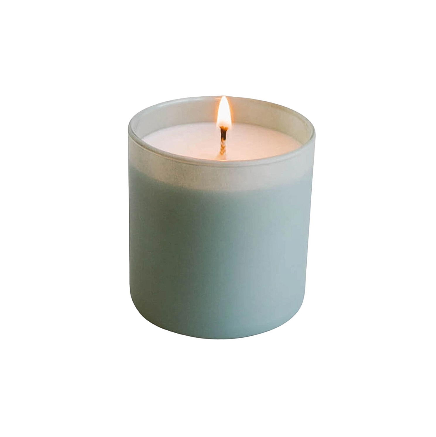 Calyan Wax Co. candle Evergreen + Eucalyptus Dignity Candle