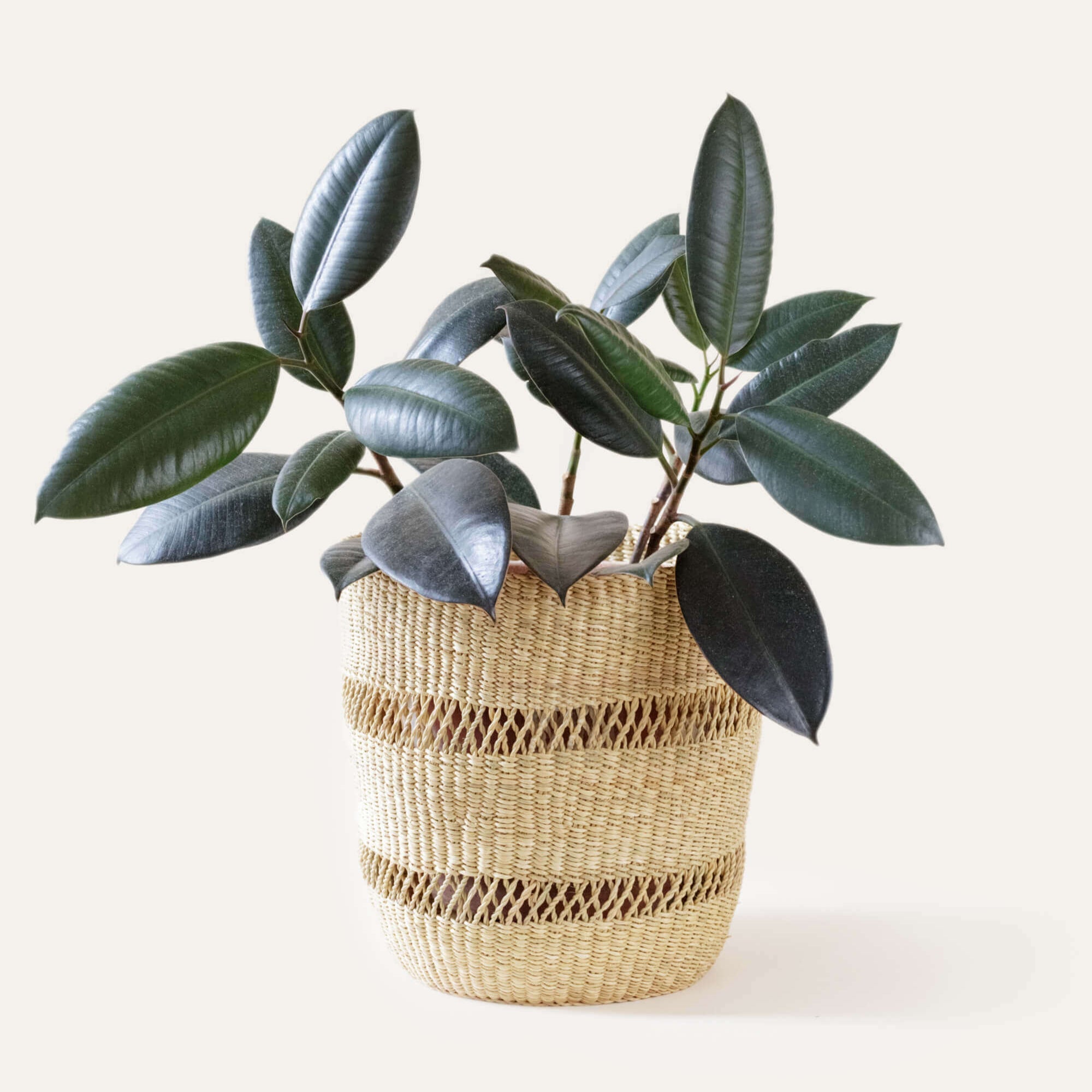 Indego Africa Planters Bolga Planter