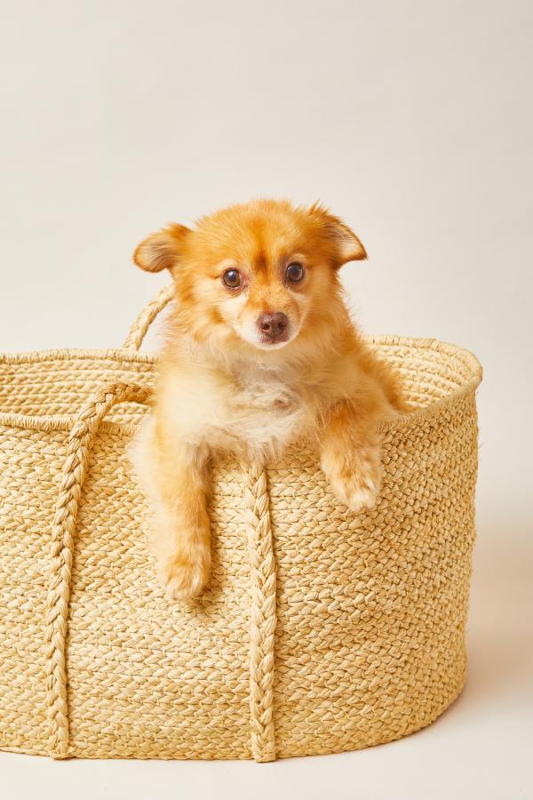 Indego Africa Storage Baskets Rectangle Braided Raffia Floor Basket