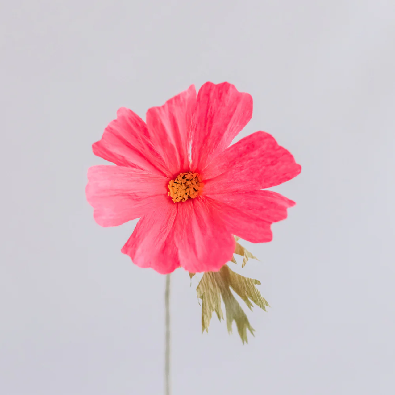 Kanso faux flower Neon Pink Cosmos