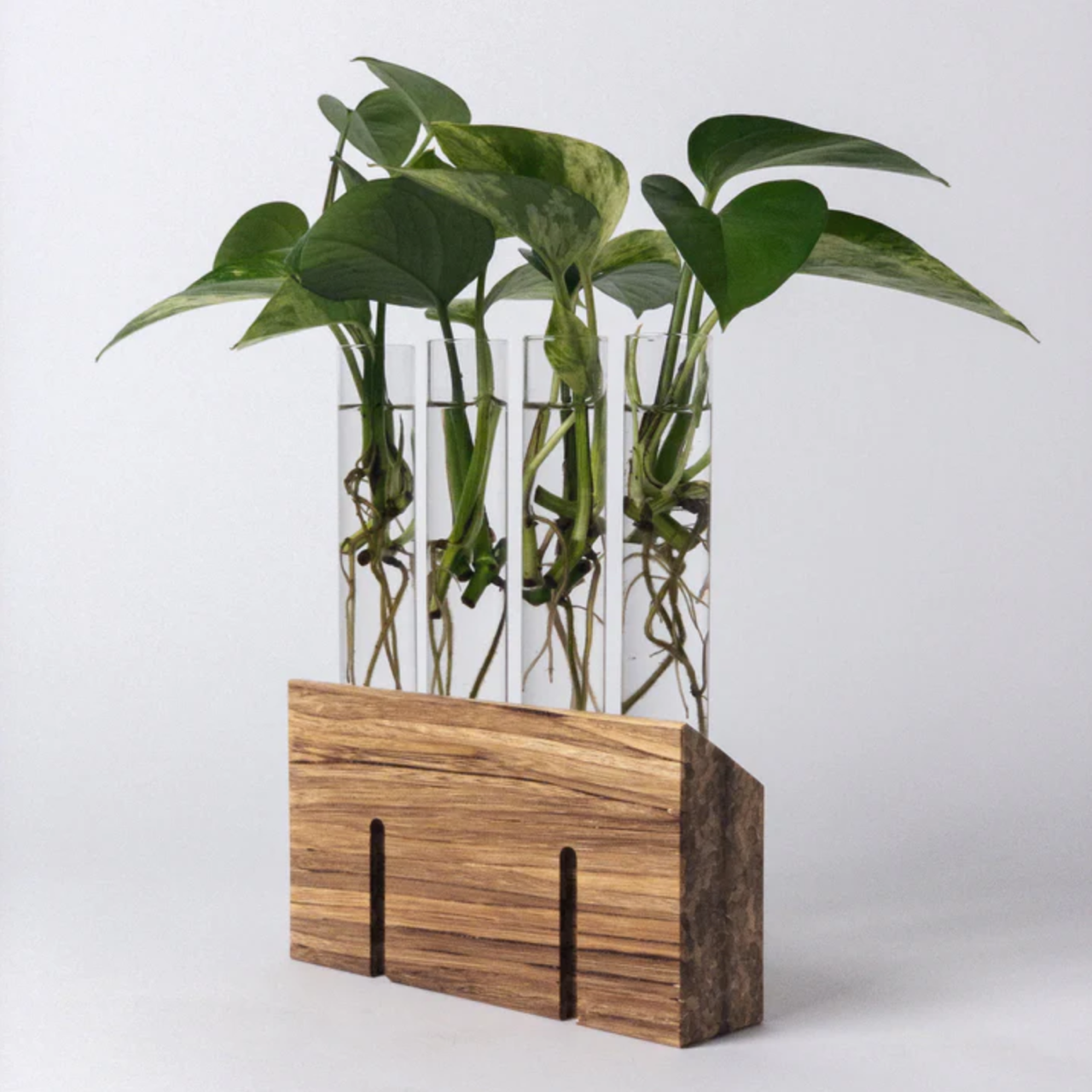 Kanso vase Upcycled Chopsticks Propogation Station