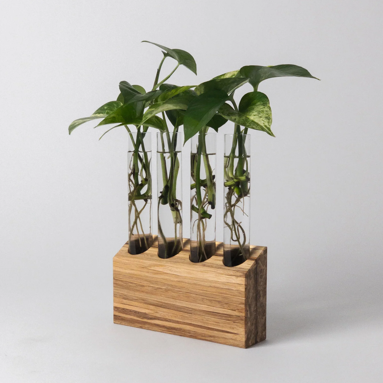 Kanso vase Upcycled Chopsticks Propogation Station