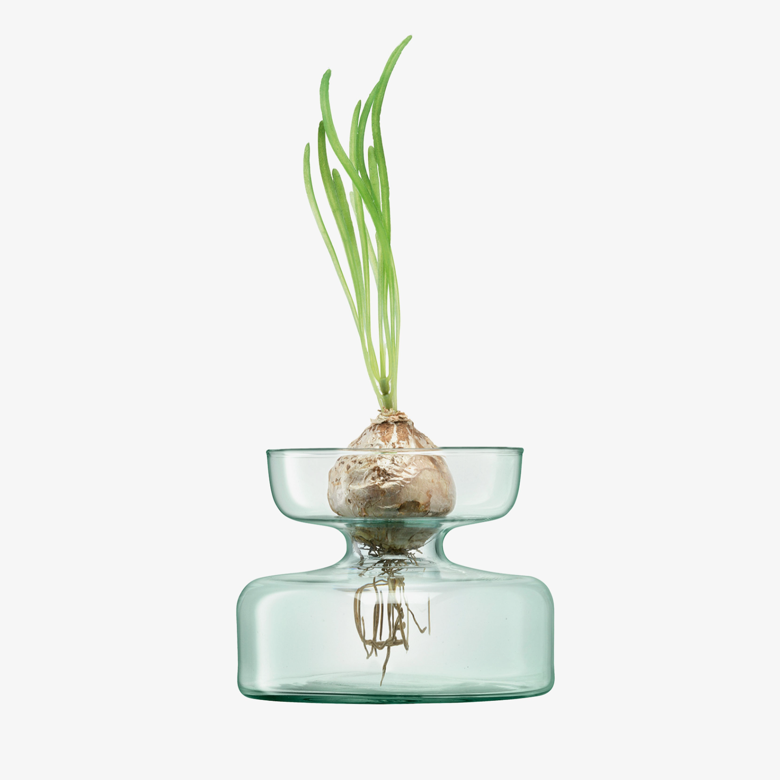 LSA International planter Canopy Bulb Vase