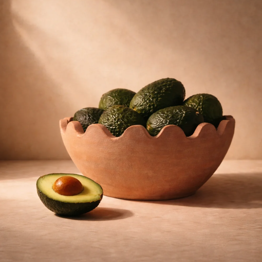 Meso Goods Bowls Ena Terracotta Bowl