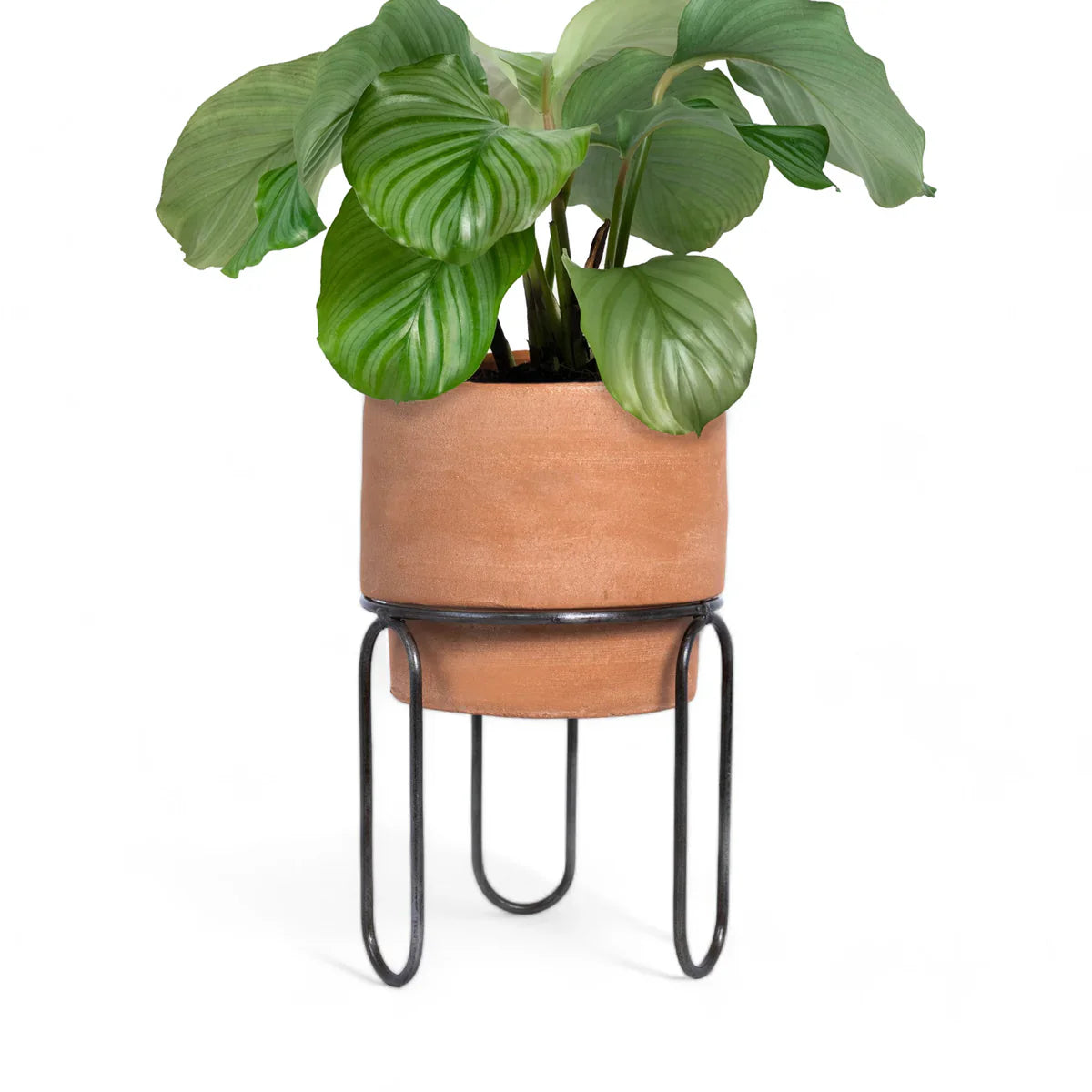 Meso Goods Planters Jaro Medium Terracotta Planter