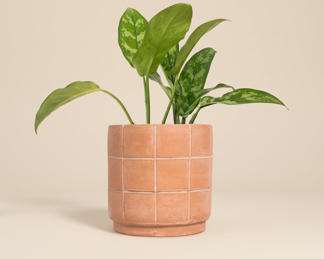 Meso Goods Planters Large Grid Terracotta Planter