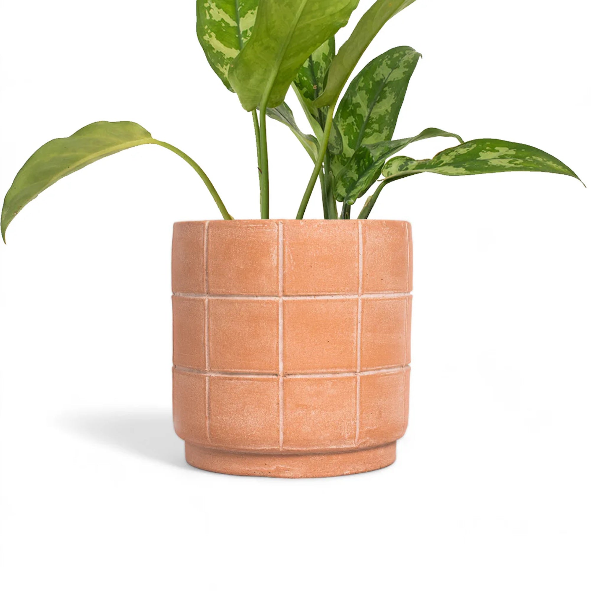 Powered by People Planters Grid Terracotta Planter - Large