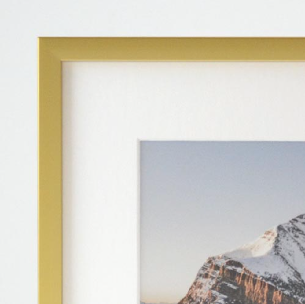 Shelf Love Collective frame Gold Metal Frame