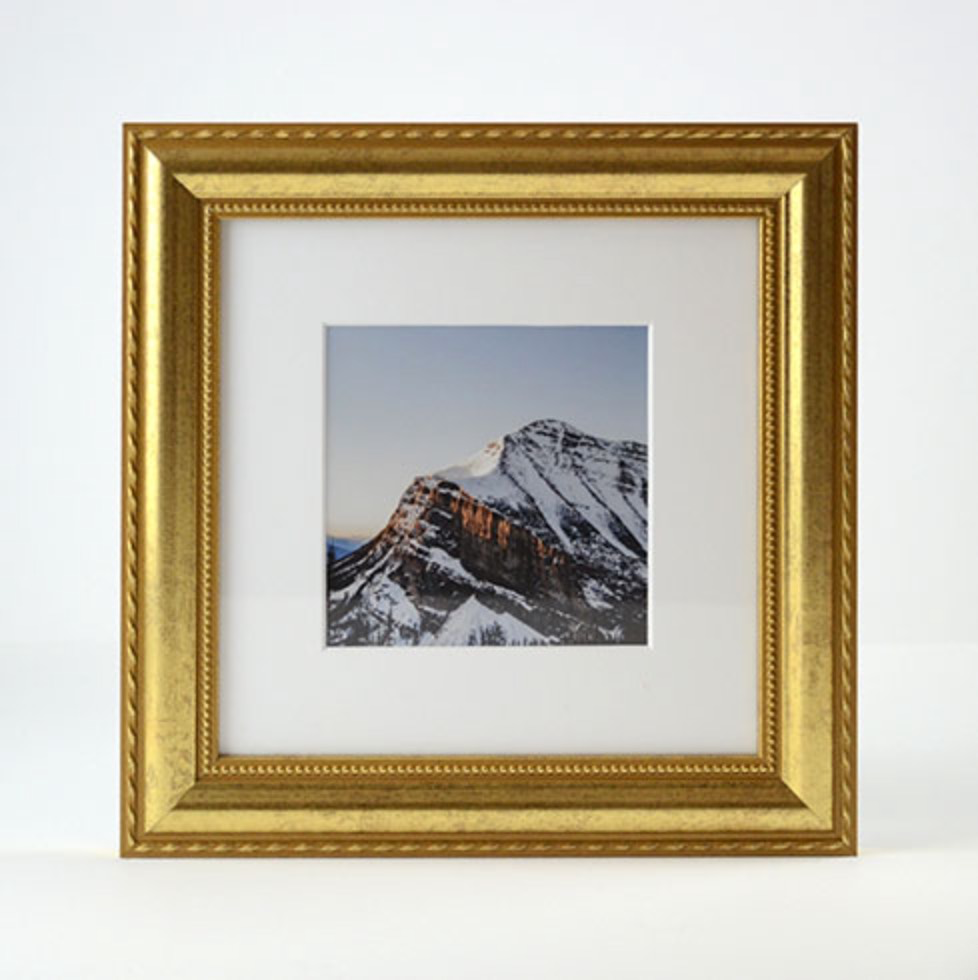 Shelf Love Collective frame Granby Gold Frame