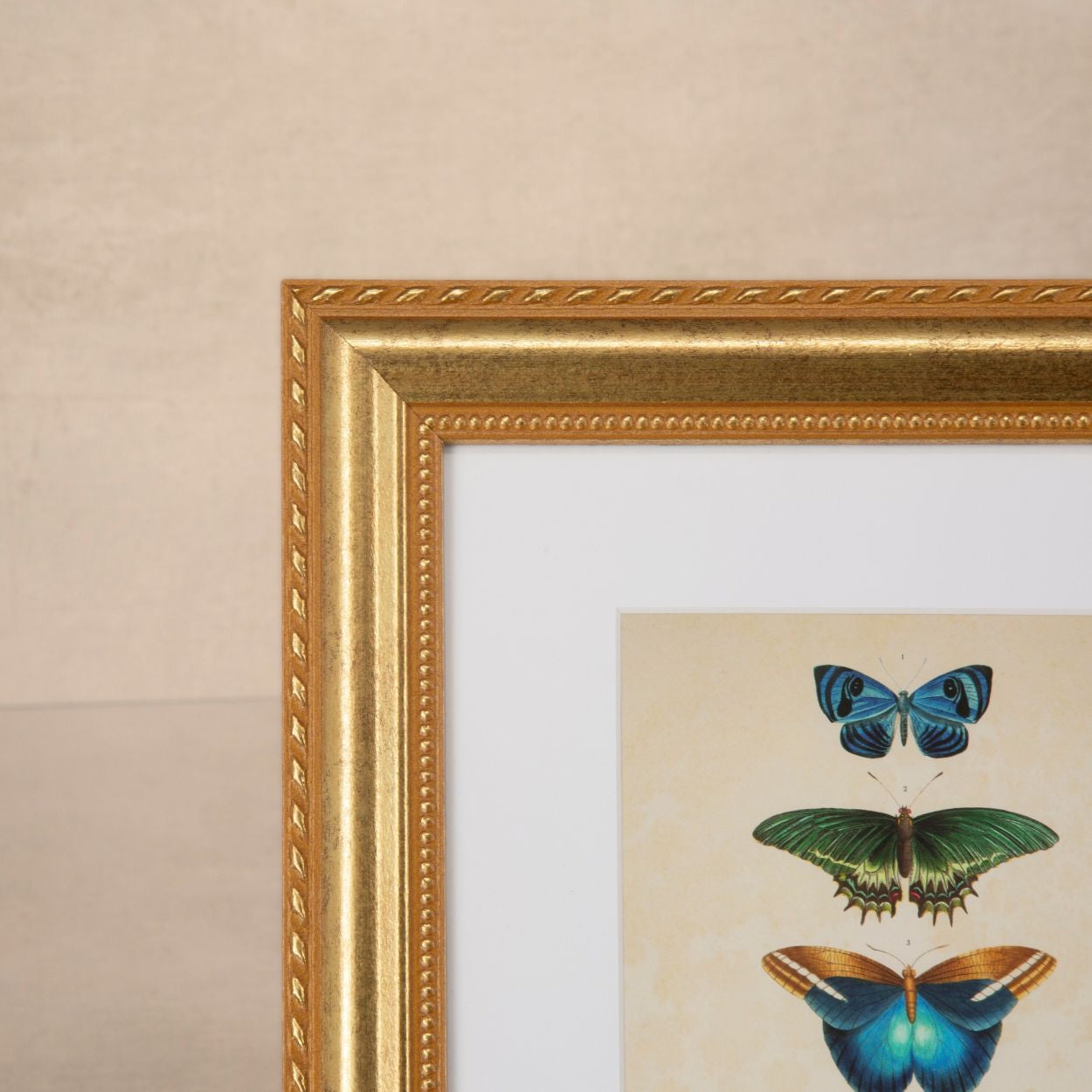 Shelf Love Collective frame Granby Gold Frame