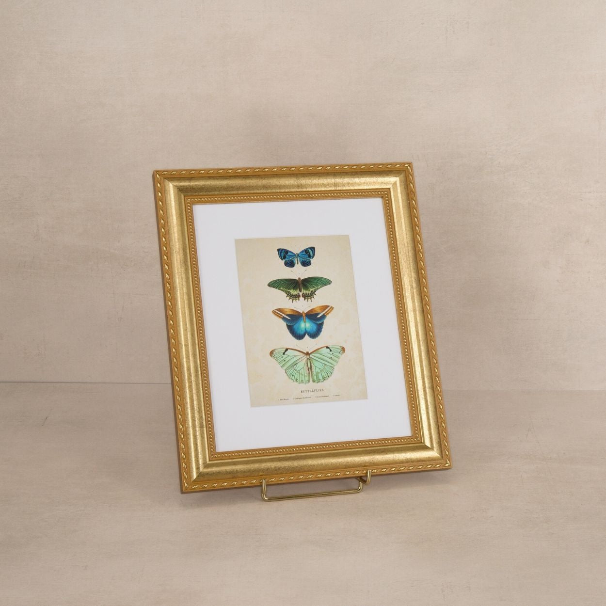 Shelf Love Collective frame Granby Gold Frame