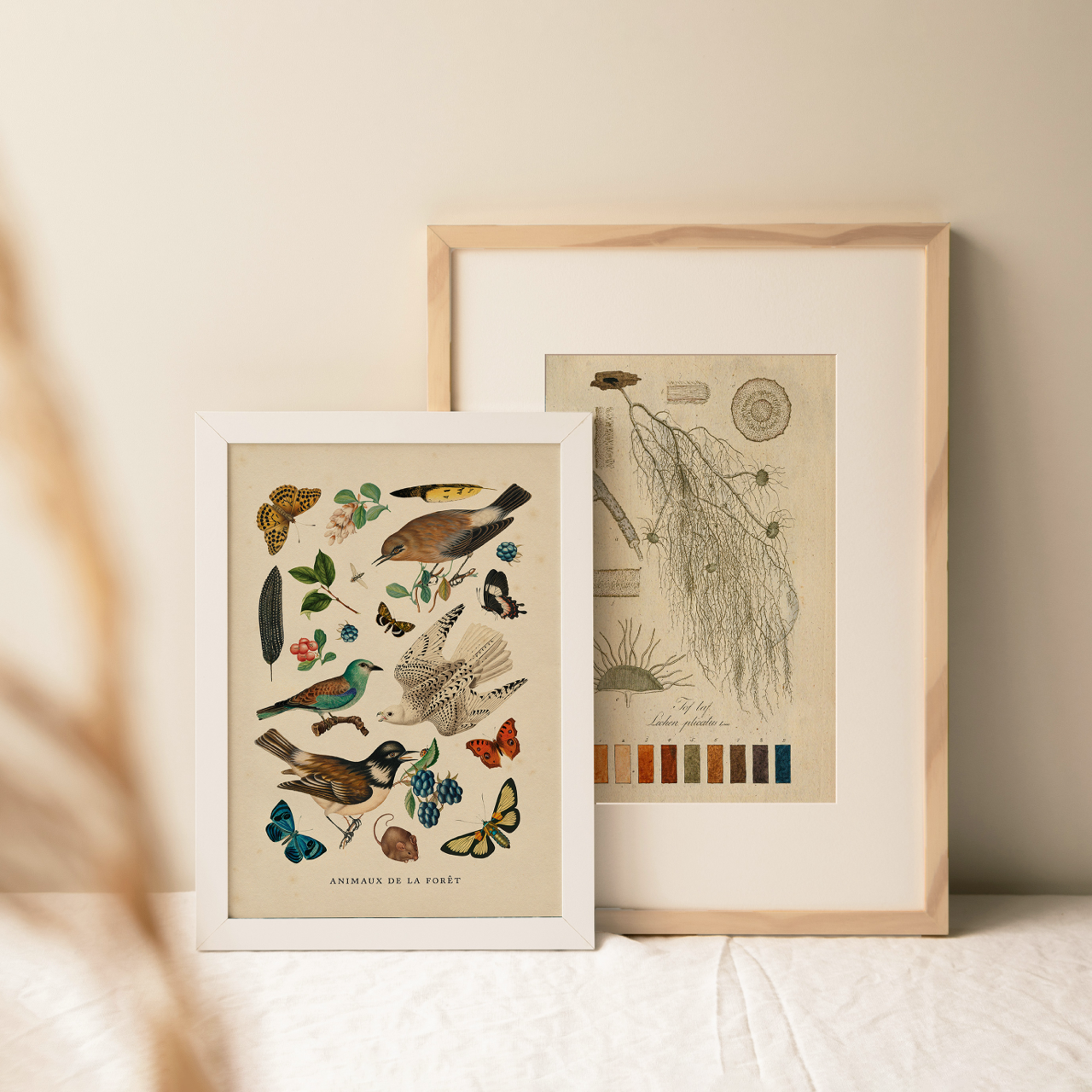 Shelf Love Collective graphic art print Birds and Insects Art Print