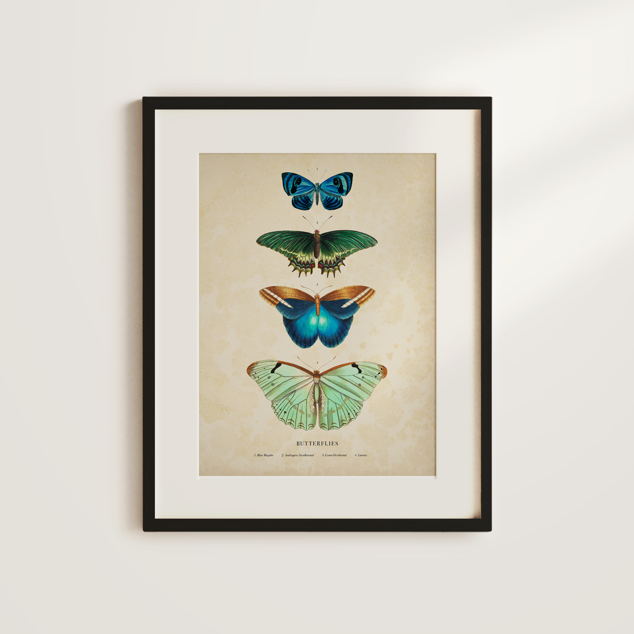 Shelf Love Collective graphic art print Butterflies Art Print