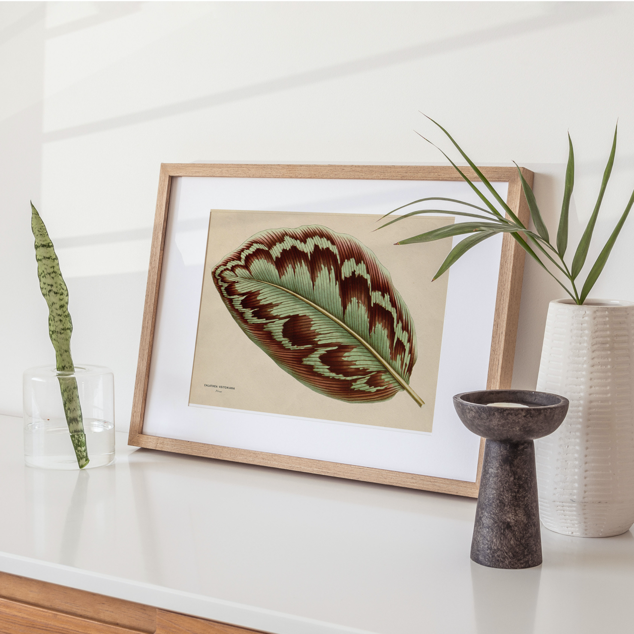 Shelf Love Collective graphic art print Calathea Leaf Art Print