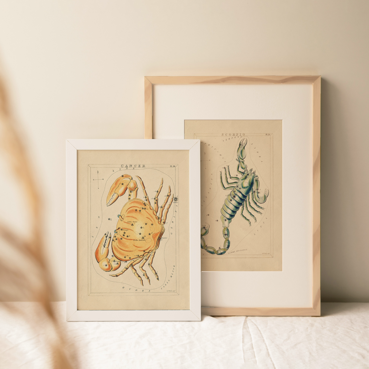 Shelf Love Collective graphic art print Cancer Art Print