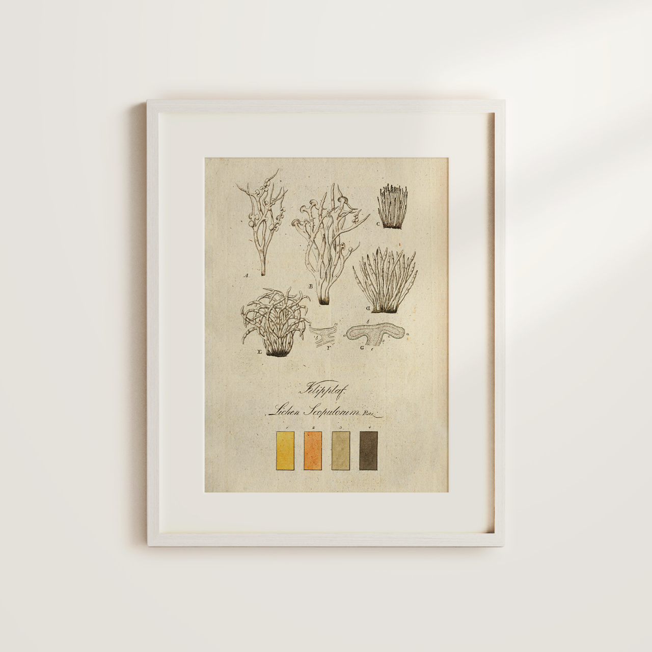 Shelf Love Collective graphic art print Colors in Nature 4 Art Print