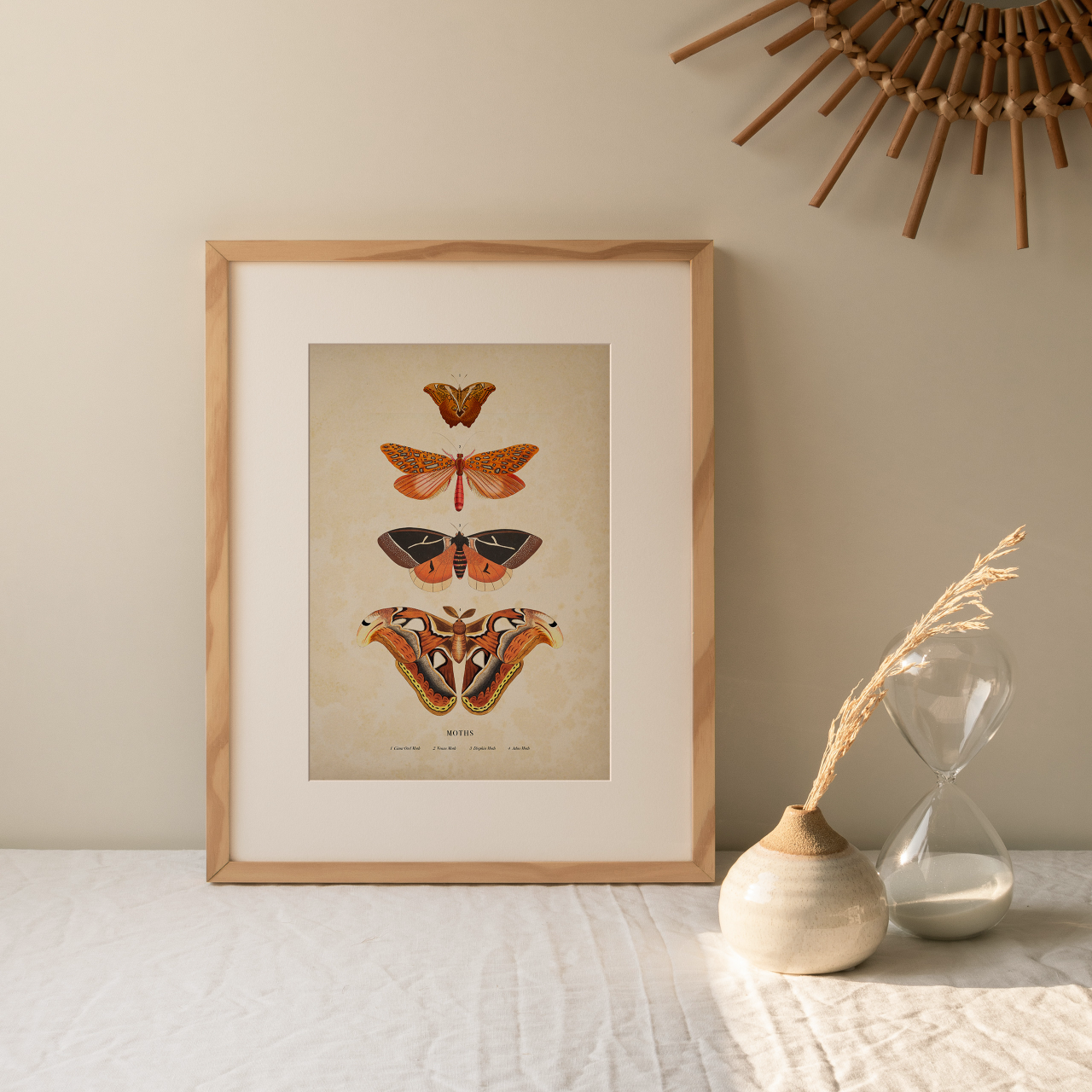 Shelf Love Collective graphic art print Moths Art Print