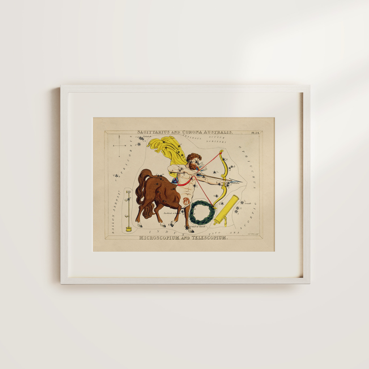 Shelf Love Collective graphic art print Sagittarius Art Print