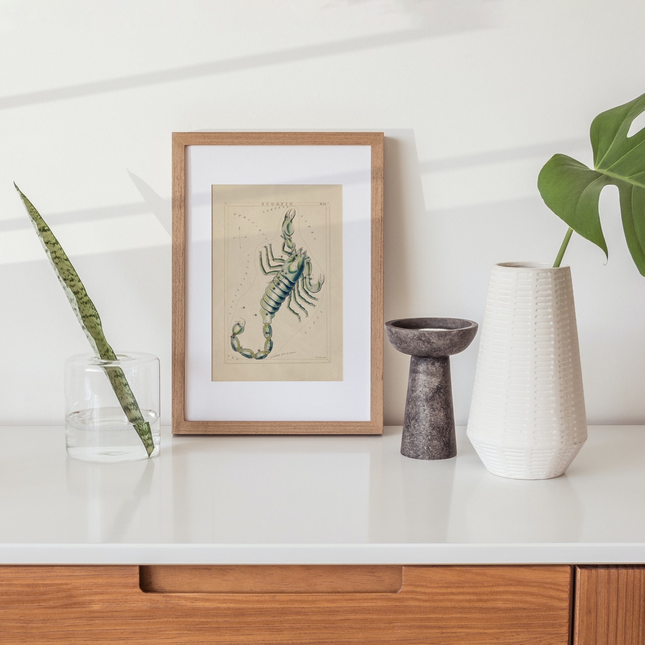 Shelf Love Collective graphic art print Scorpio Art Print