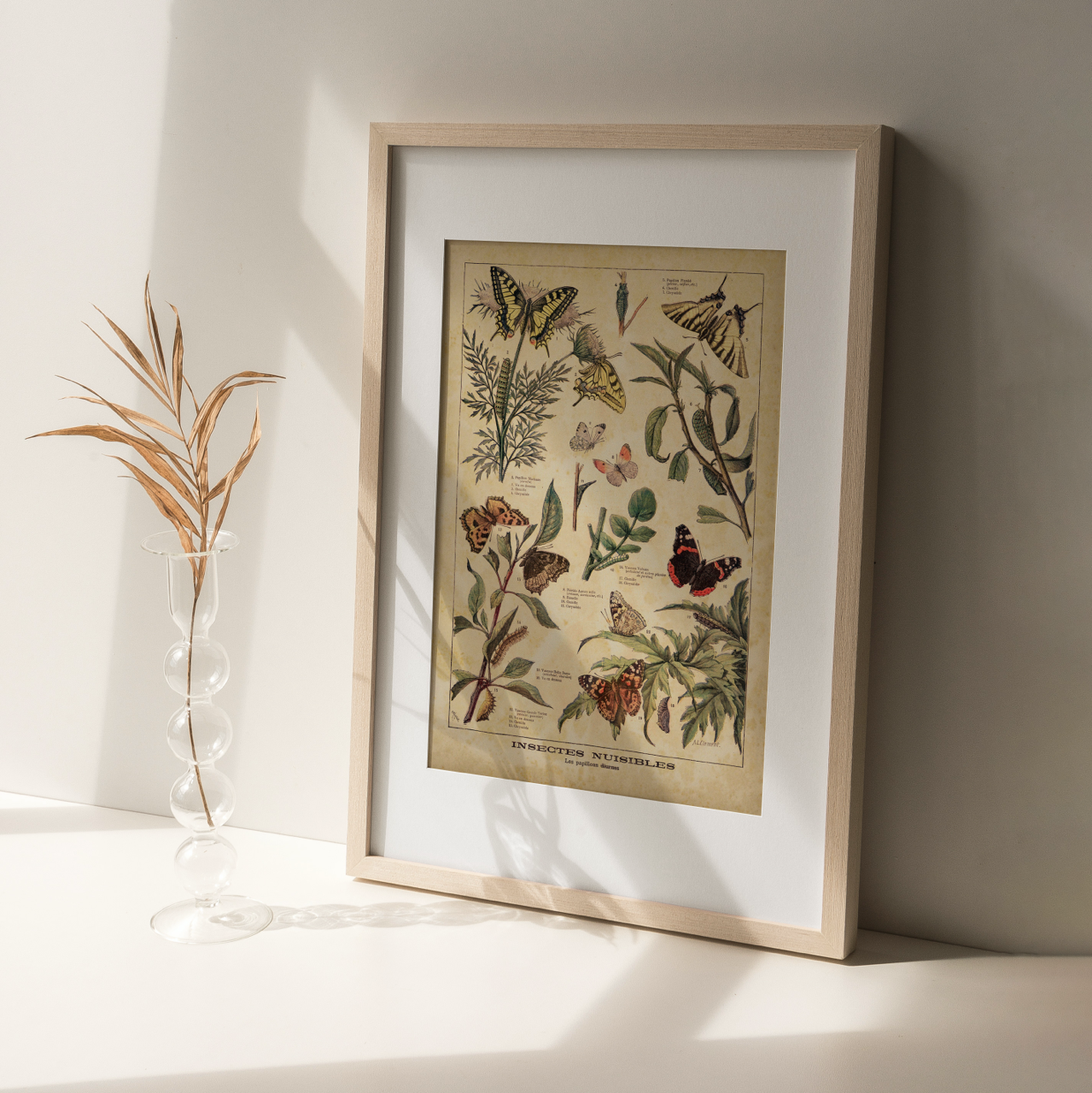 Shelf Love Collective graphic art print Vintage Butterflies Art Print